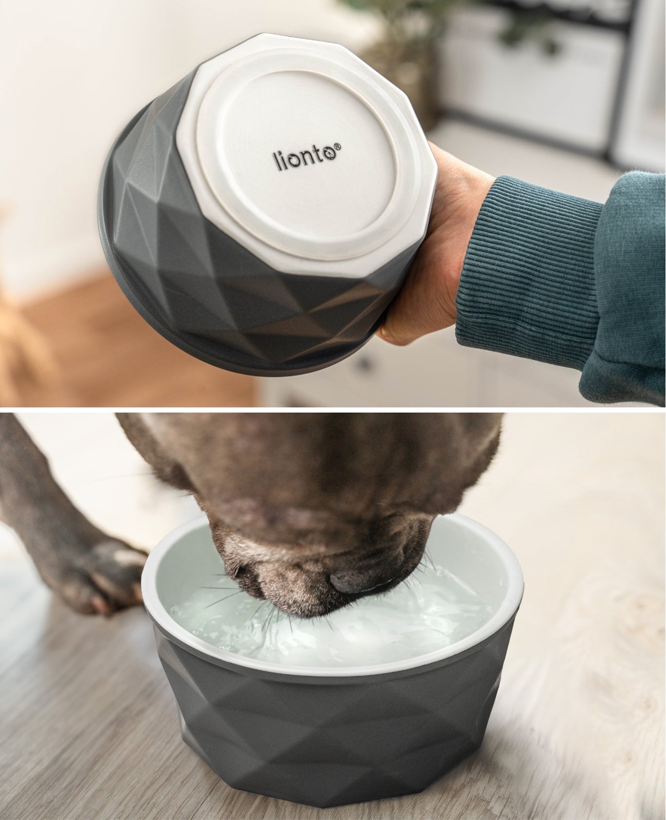 Cuenco de cerámica para perros