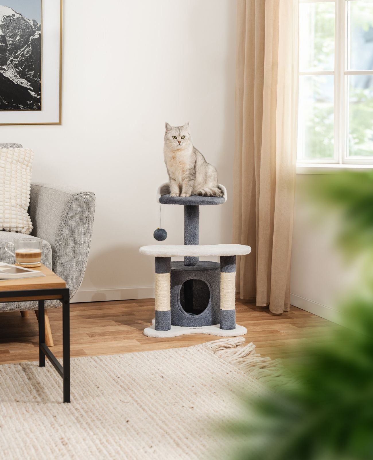 Poste rascador para gatos altura 65 cm