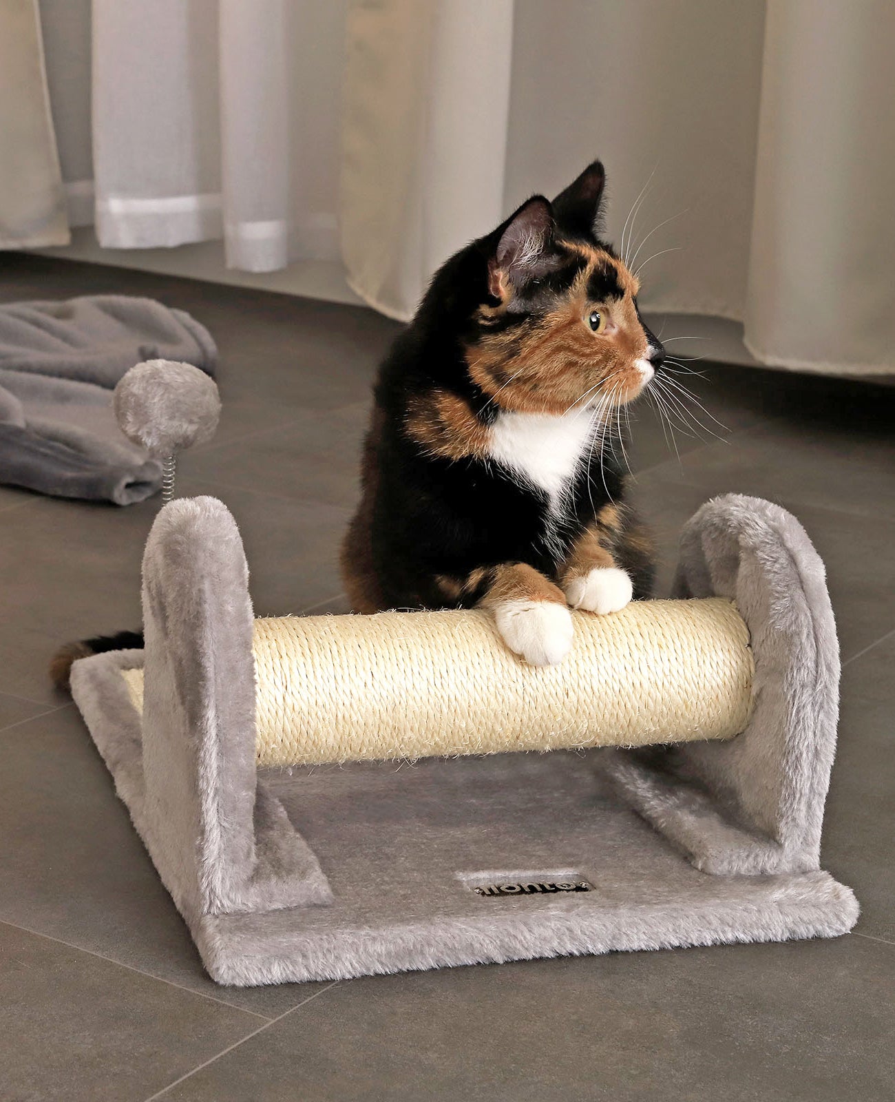 Rascador con peluche y pelota de juego