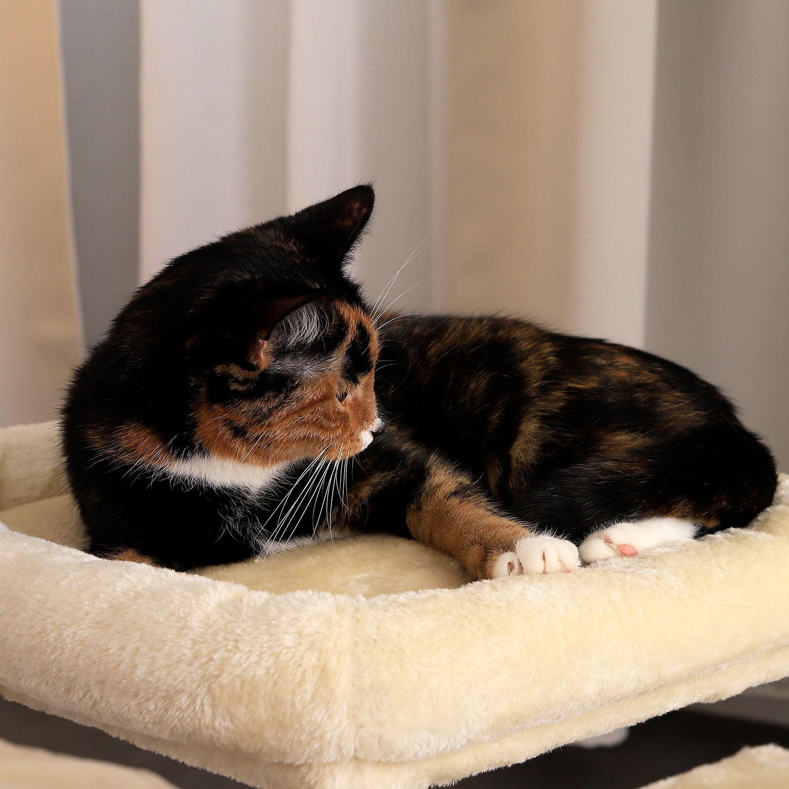 Poste rascador para gatos altura 50 cm