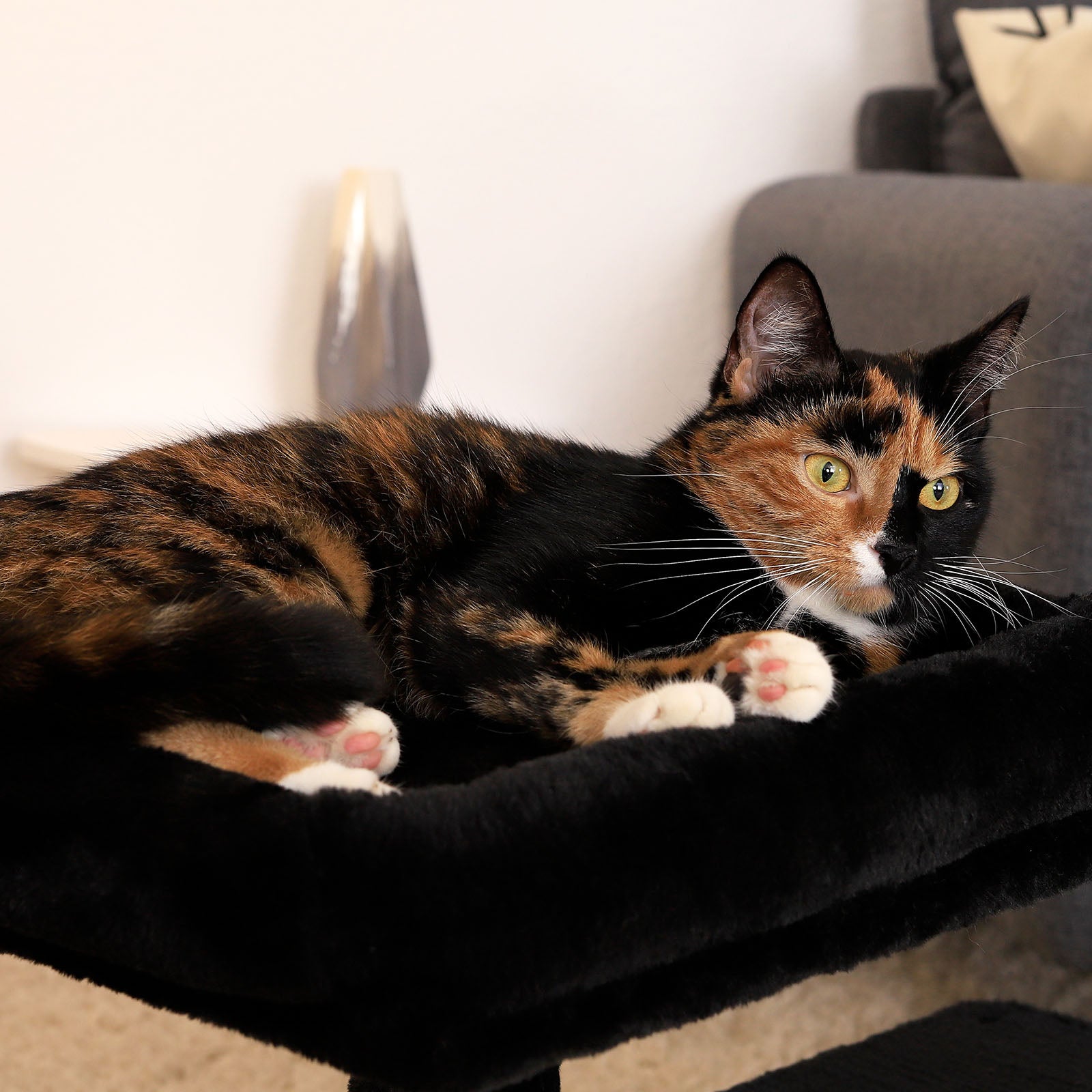 Poste rascador para gatos altura 50 cm