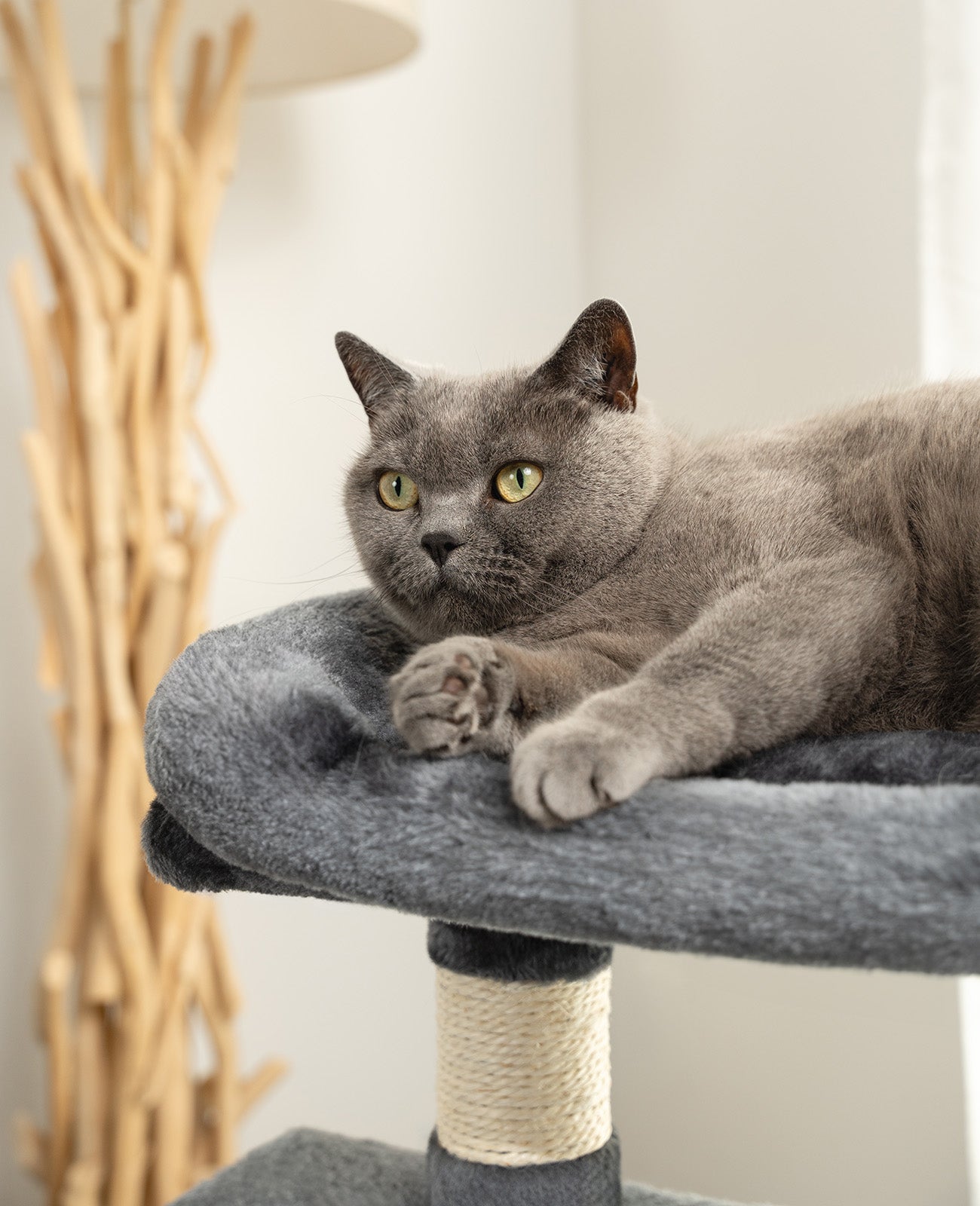 Poste rascador para gatos, 80 cm
