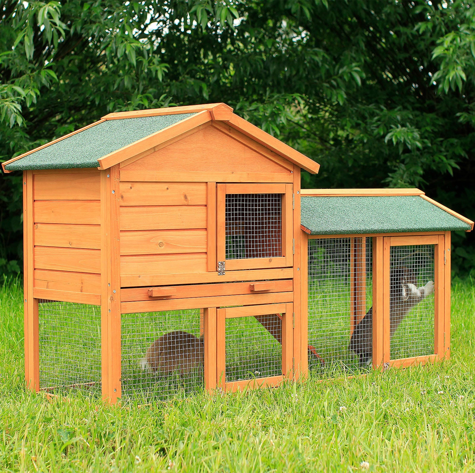 Kaninchen sitzen im Auslauf des Kaninchenstalls im Garten