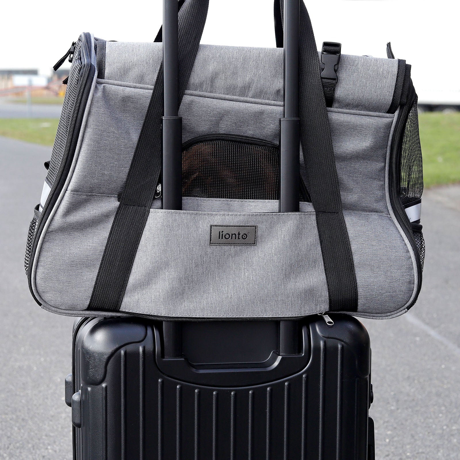 Bolsa de transporte para perros plegable