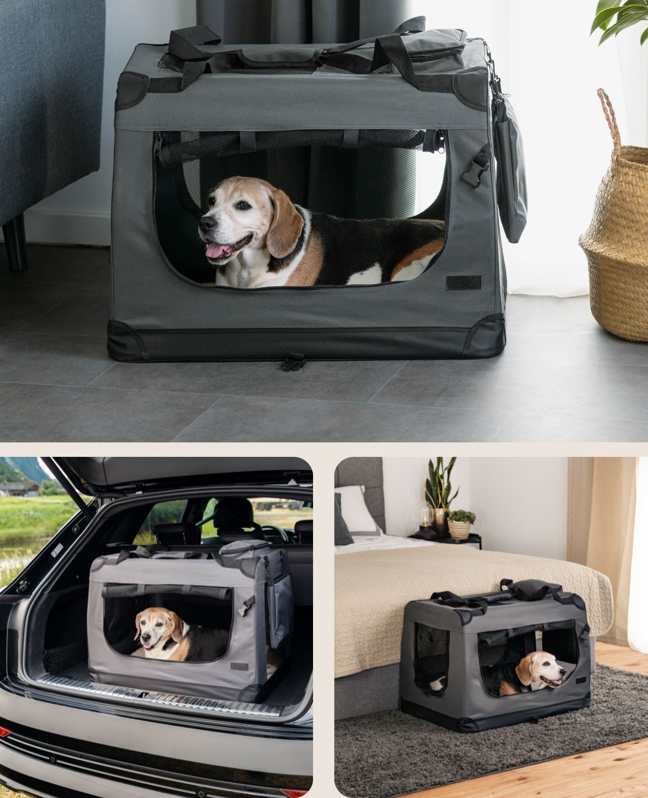 Zusammenklappbare Hundetransportkiste