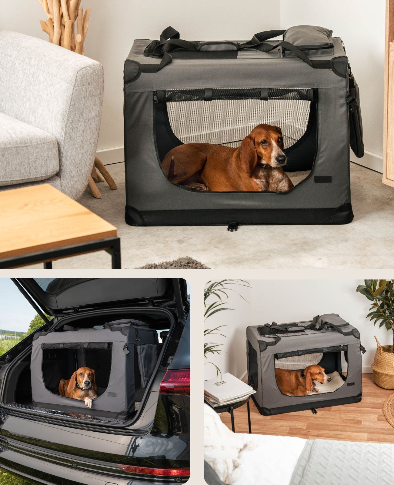 Zusammenklappbare Hundetransportkiste
