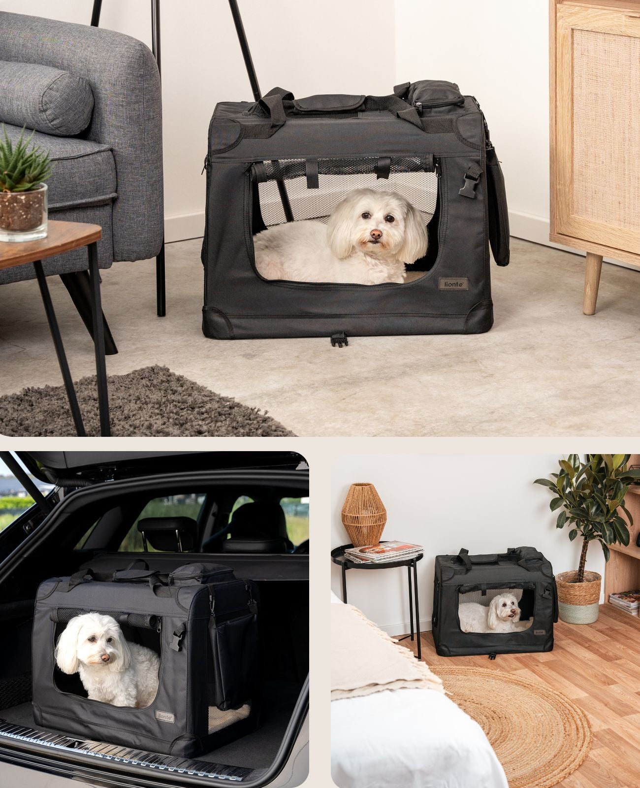 Zusammenklappbare Hundetransportkiste