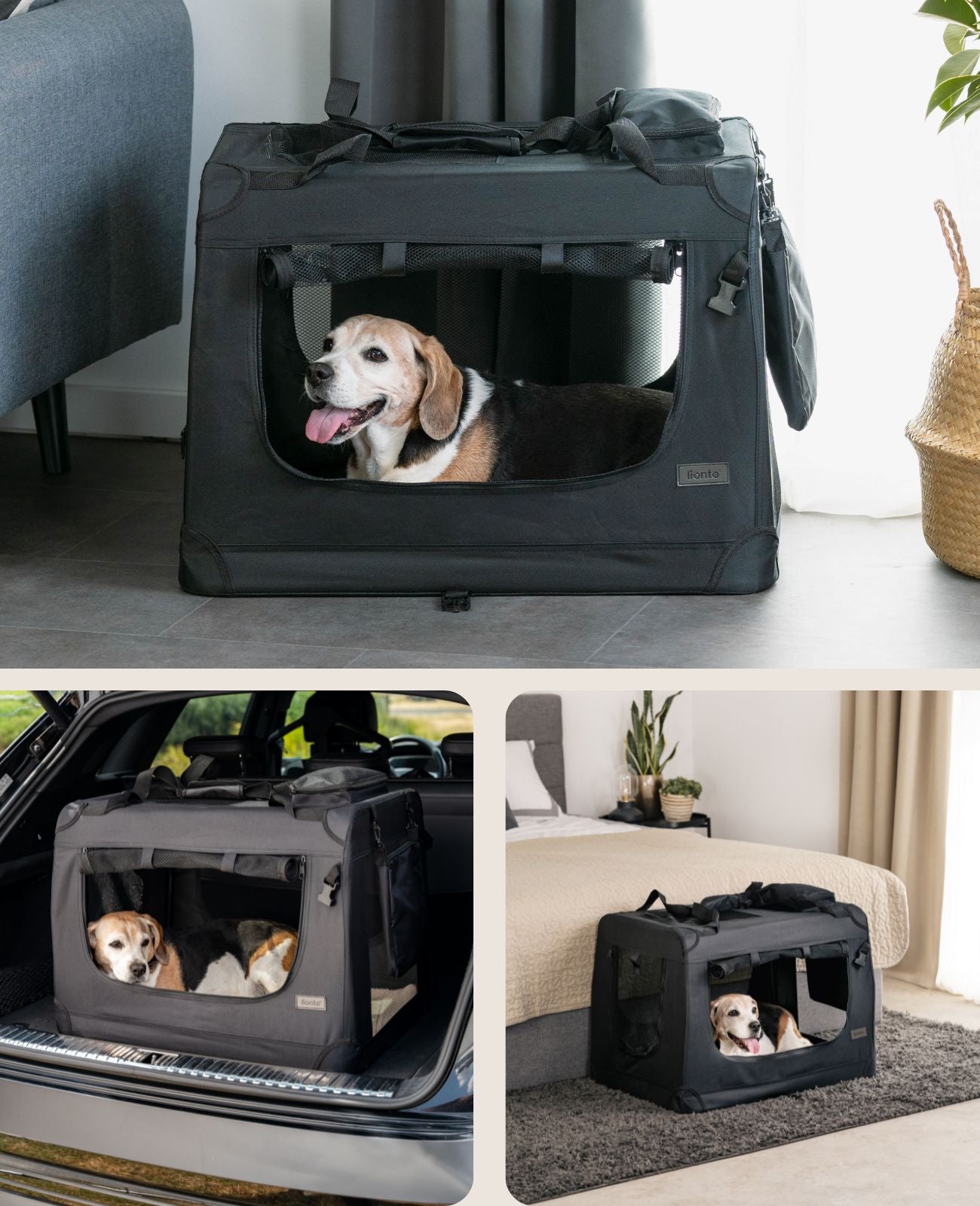 Zusammenklappbare Hundetransportkiste