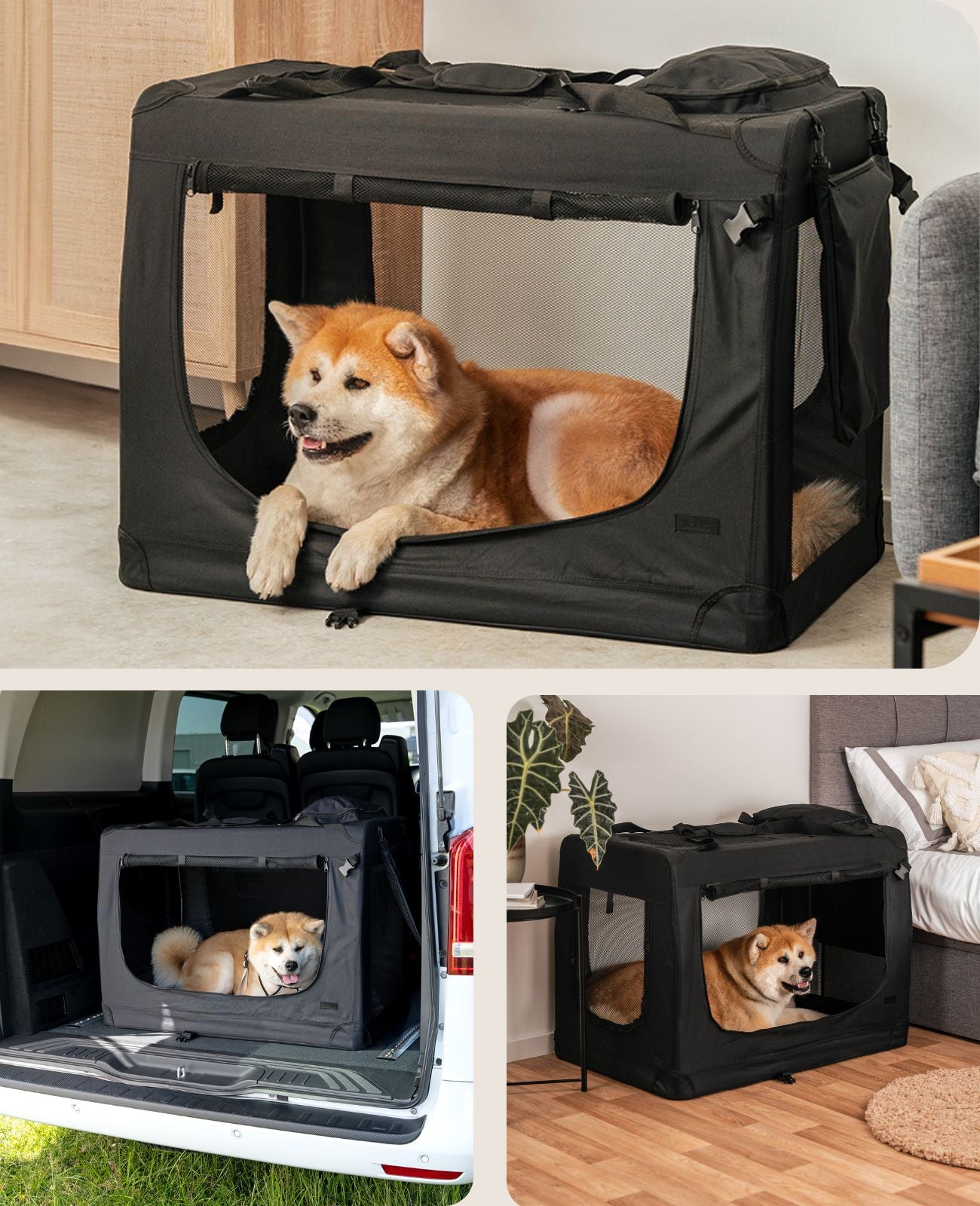 Zusammenklappbare Hundetransportkiste