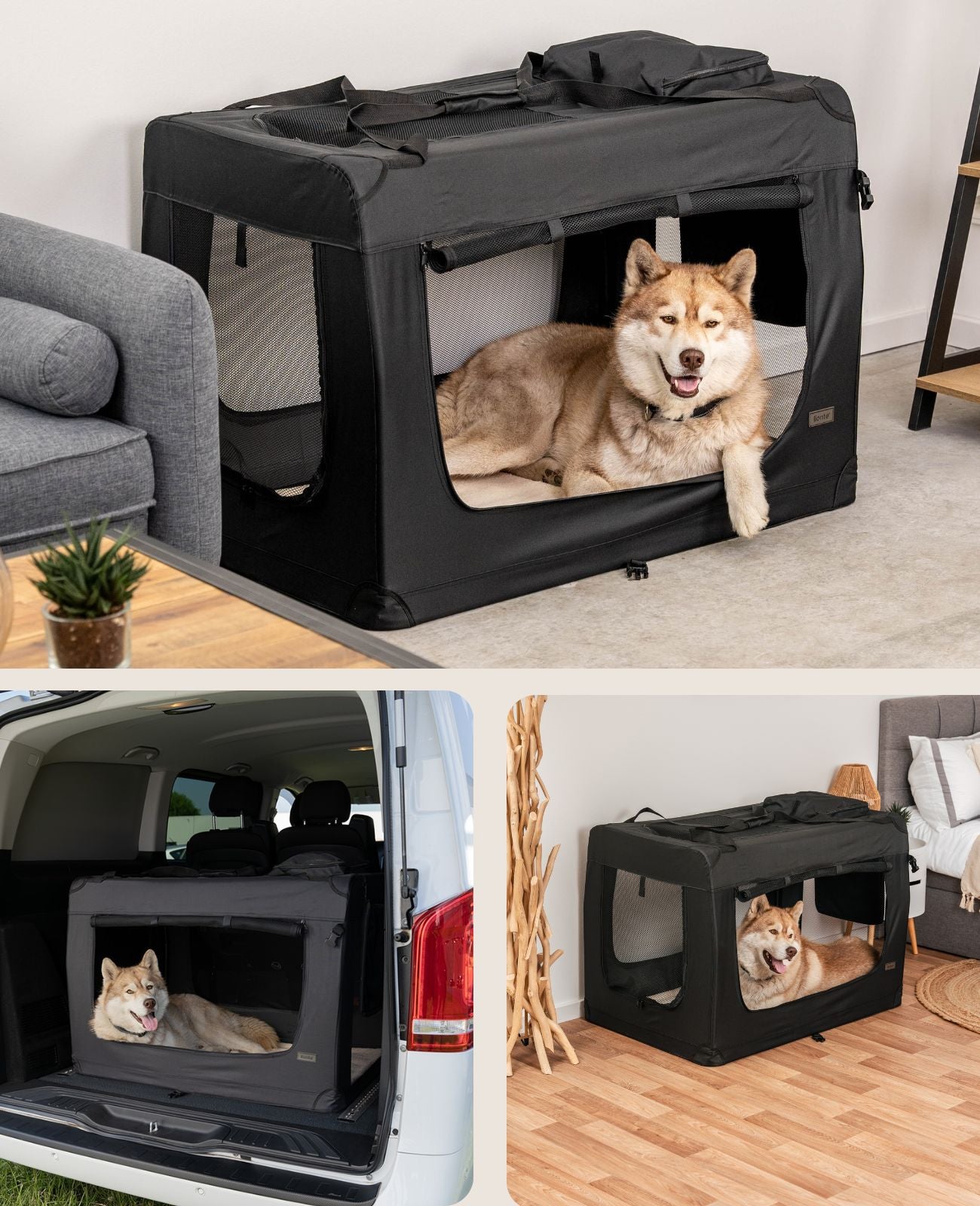 Zusammenklappbare Hundetransportkiste