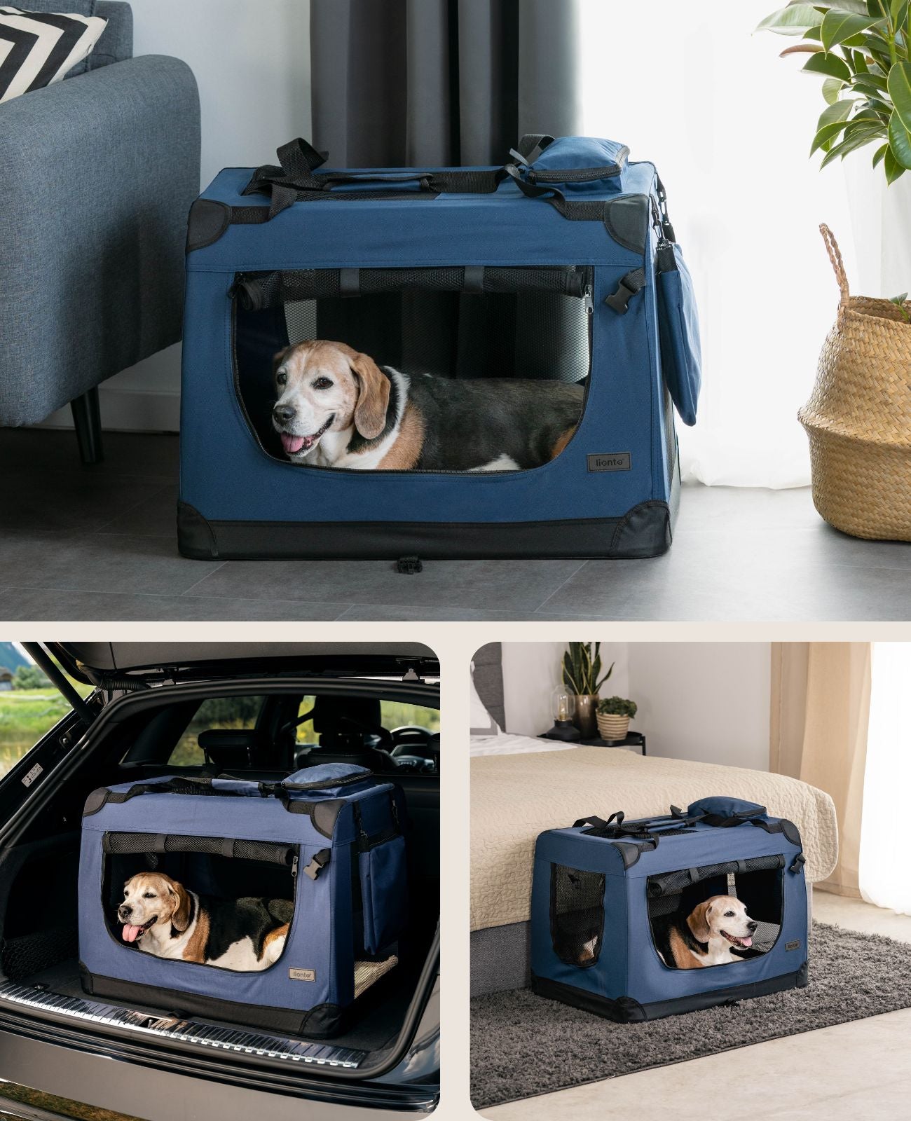 Zusammenklappbare Hundetransportkiste