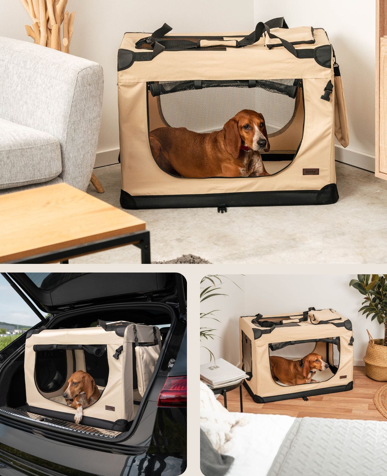 Zusammenklappbare Hundetransportkiste