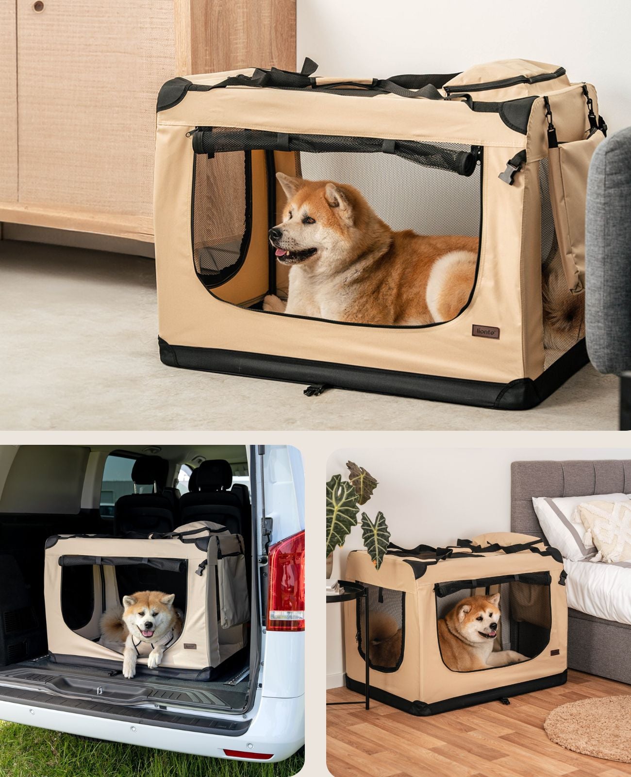Zusammenklappbare Hundetransportkiste