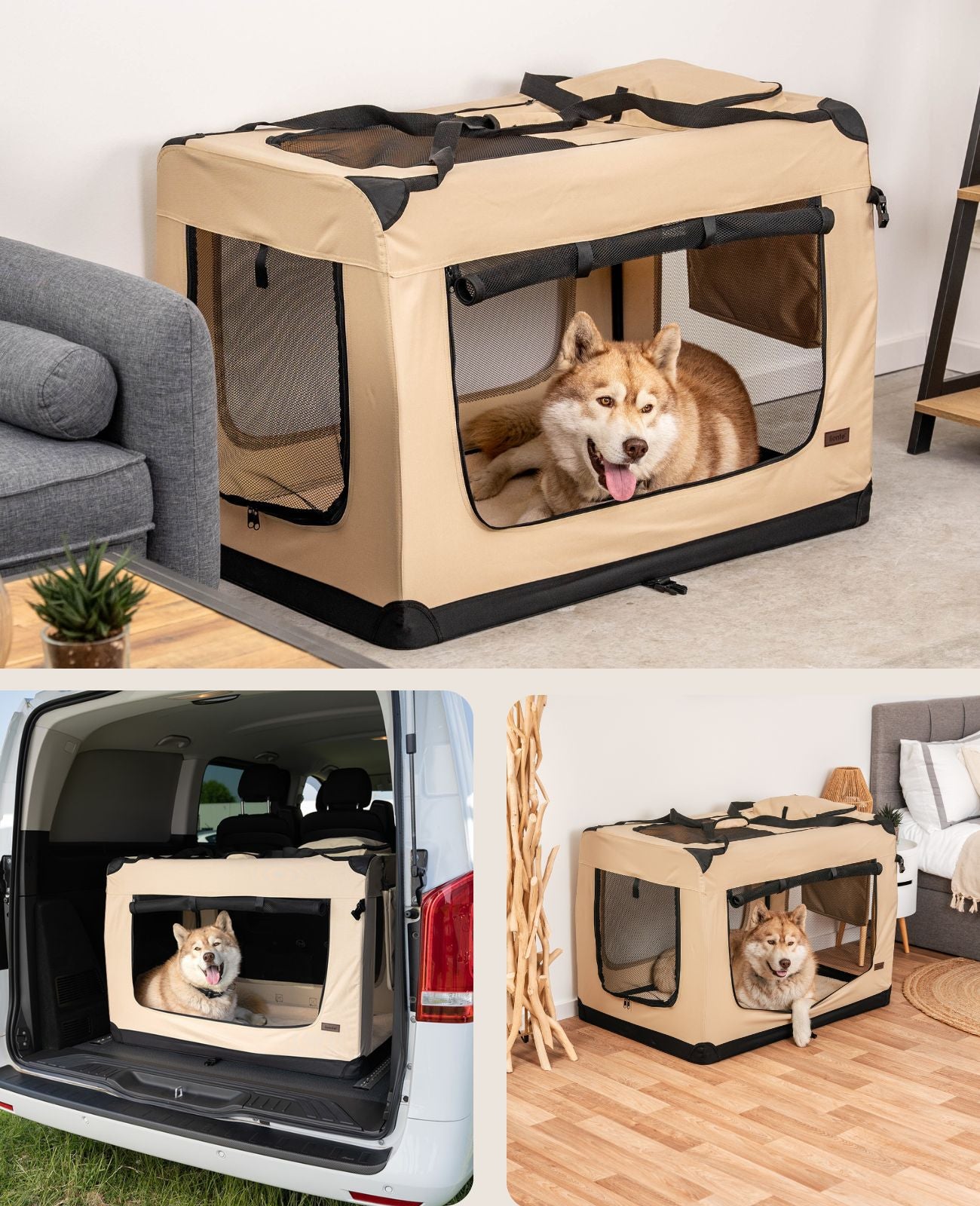 Zusammenklappbare Hundetransportkiste