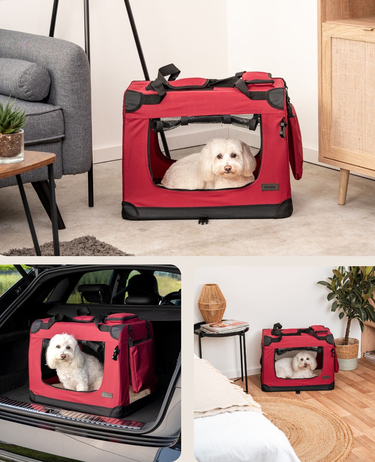 Zusammenklappbare Hundetransportkiste