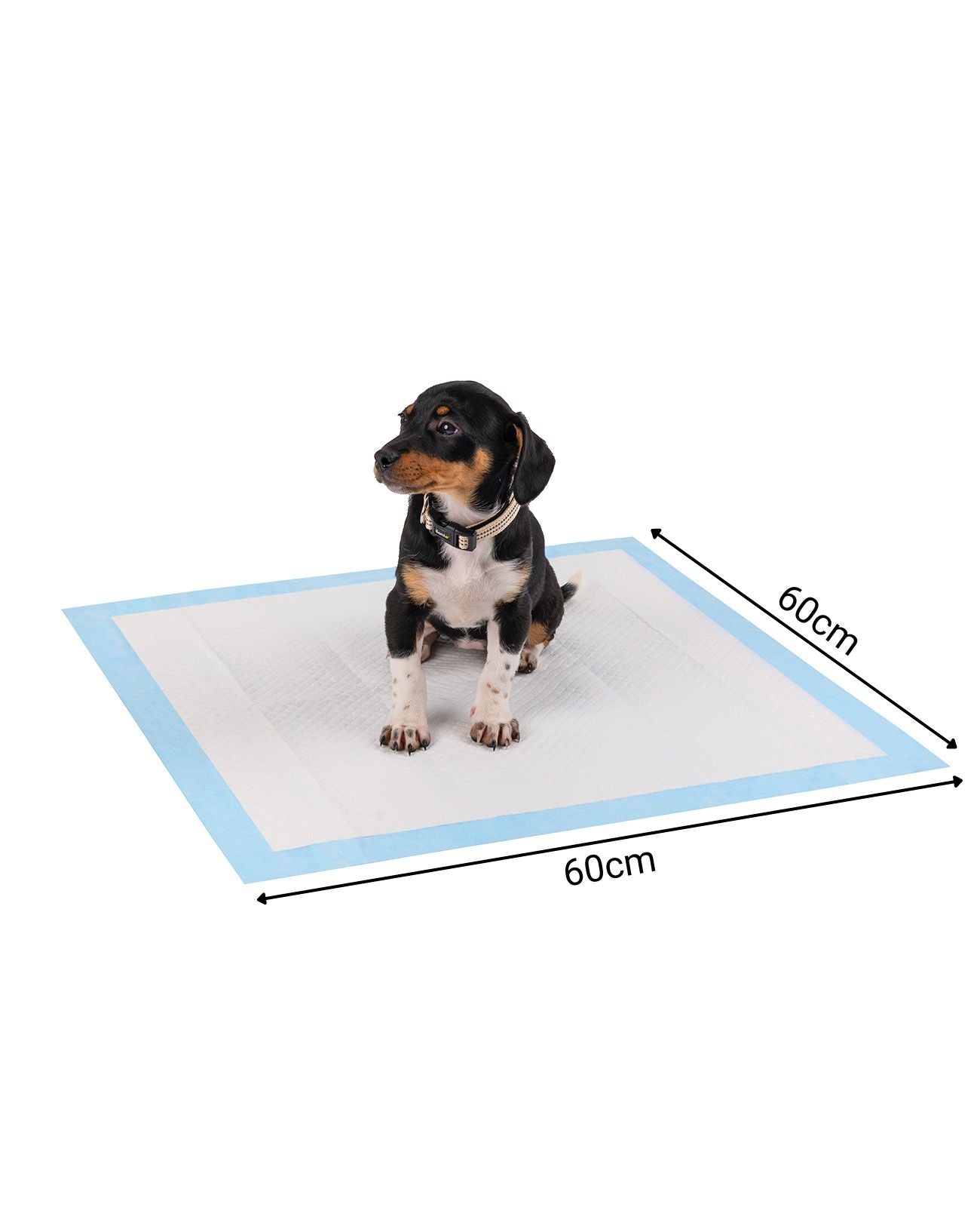 Almohadilla para cachorros de diferentes tamaños