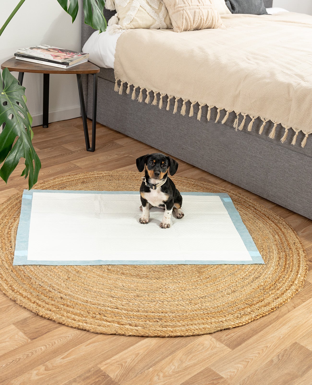 Almohadilla para cachorros de diferentes tamaños