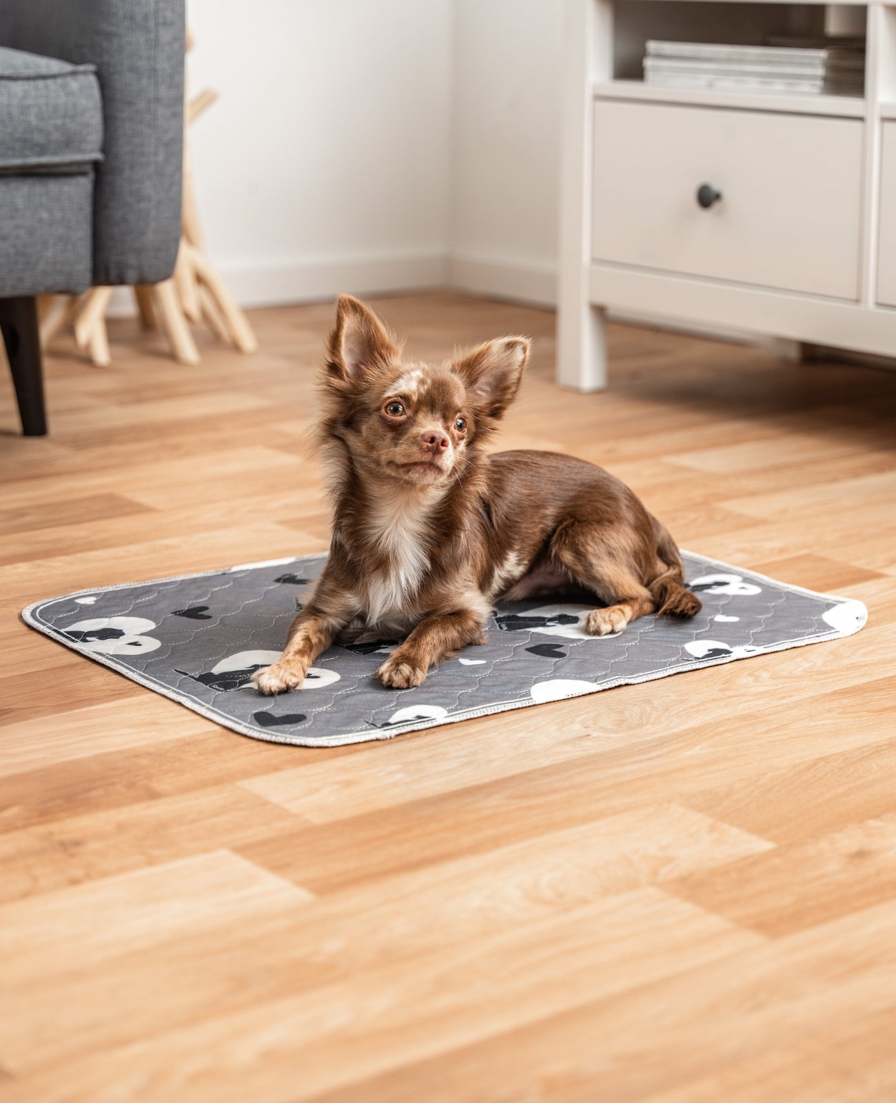 lionto Alfombrillas reutilizables para cachorros, set de 2, gris