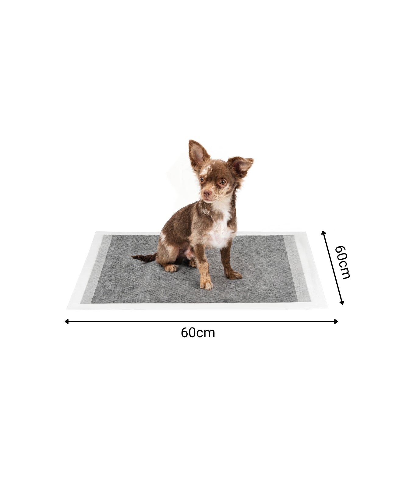 lionto Alfombrilla higiénica para cachorros, 6 capas, muchas versiones