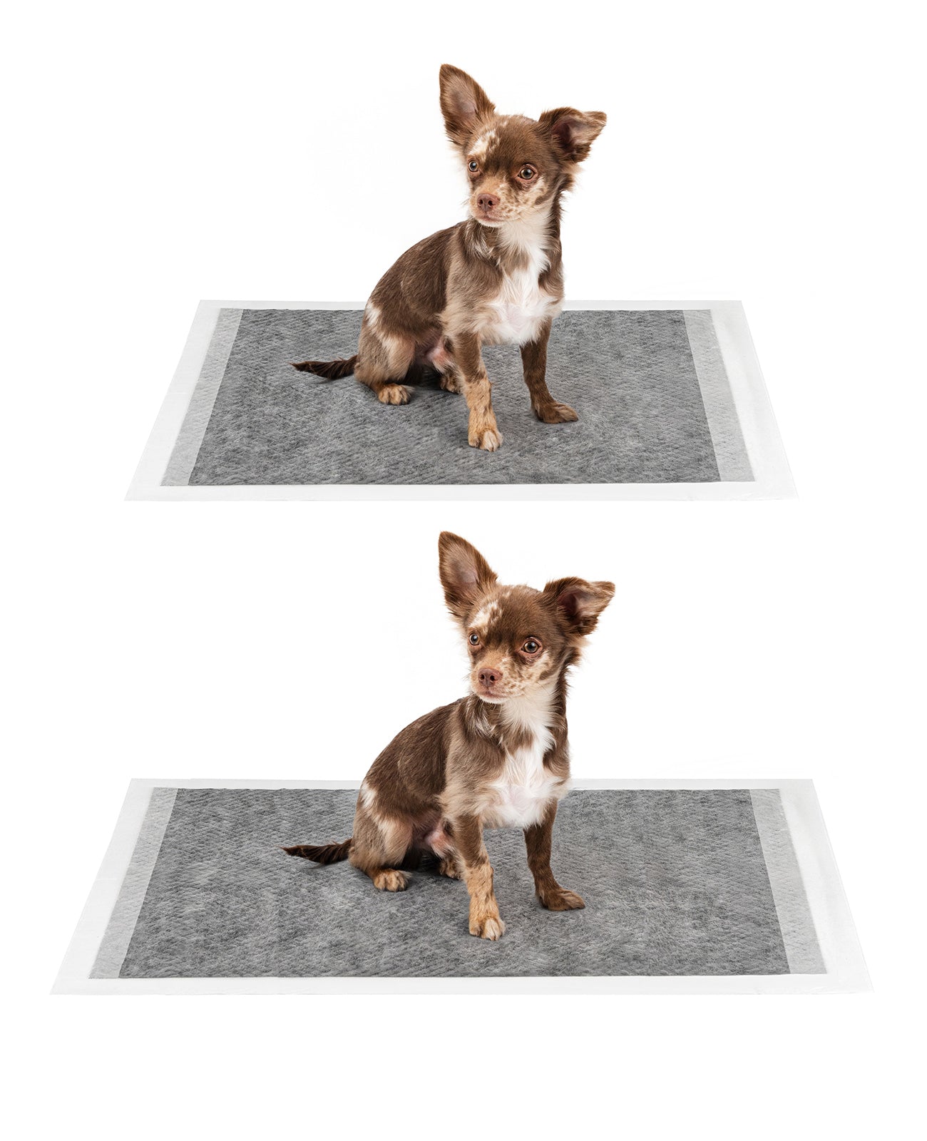 lionto Alfombrilla higiénica para cachorros, 6 capas, muchas versiones