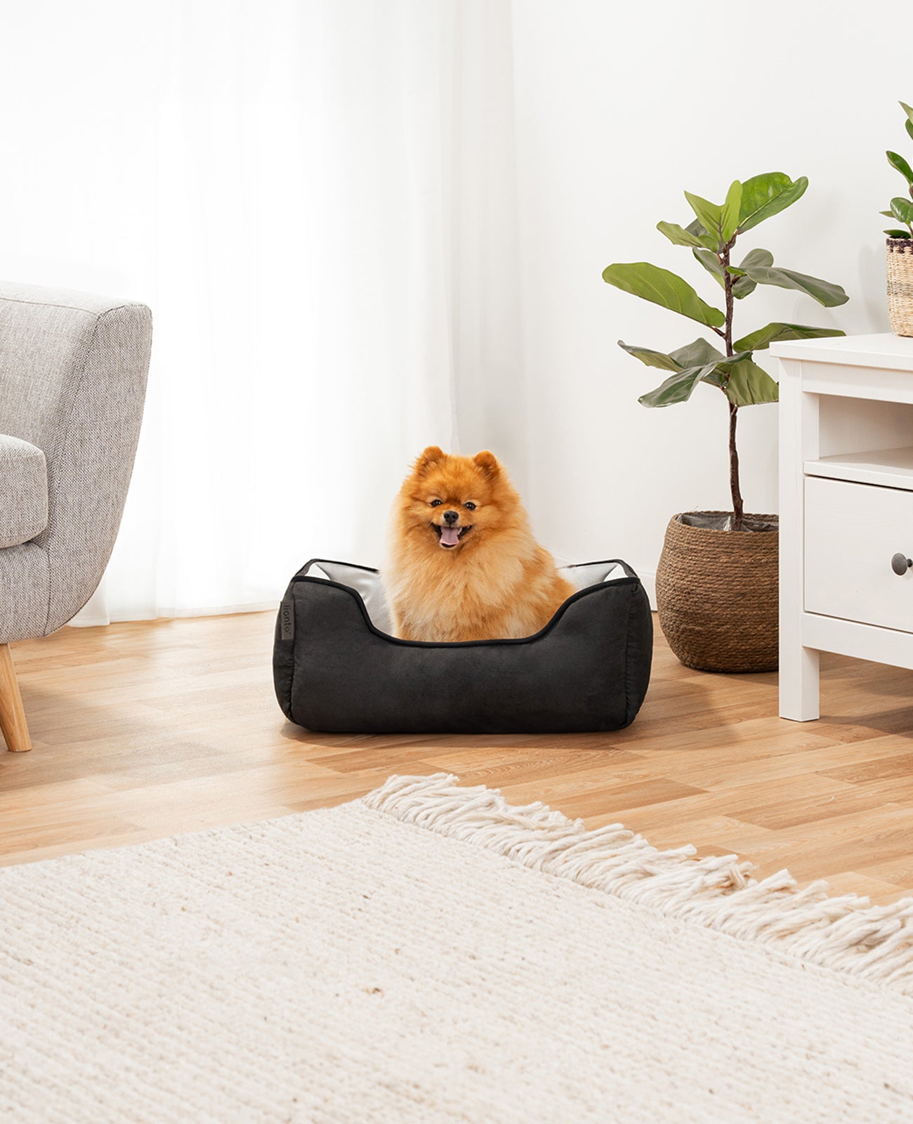 Cama para perros 2 en 1 con aspecto de ante