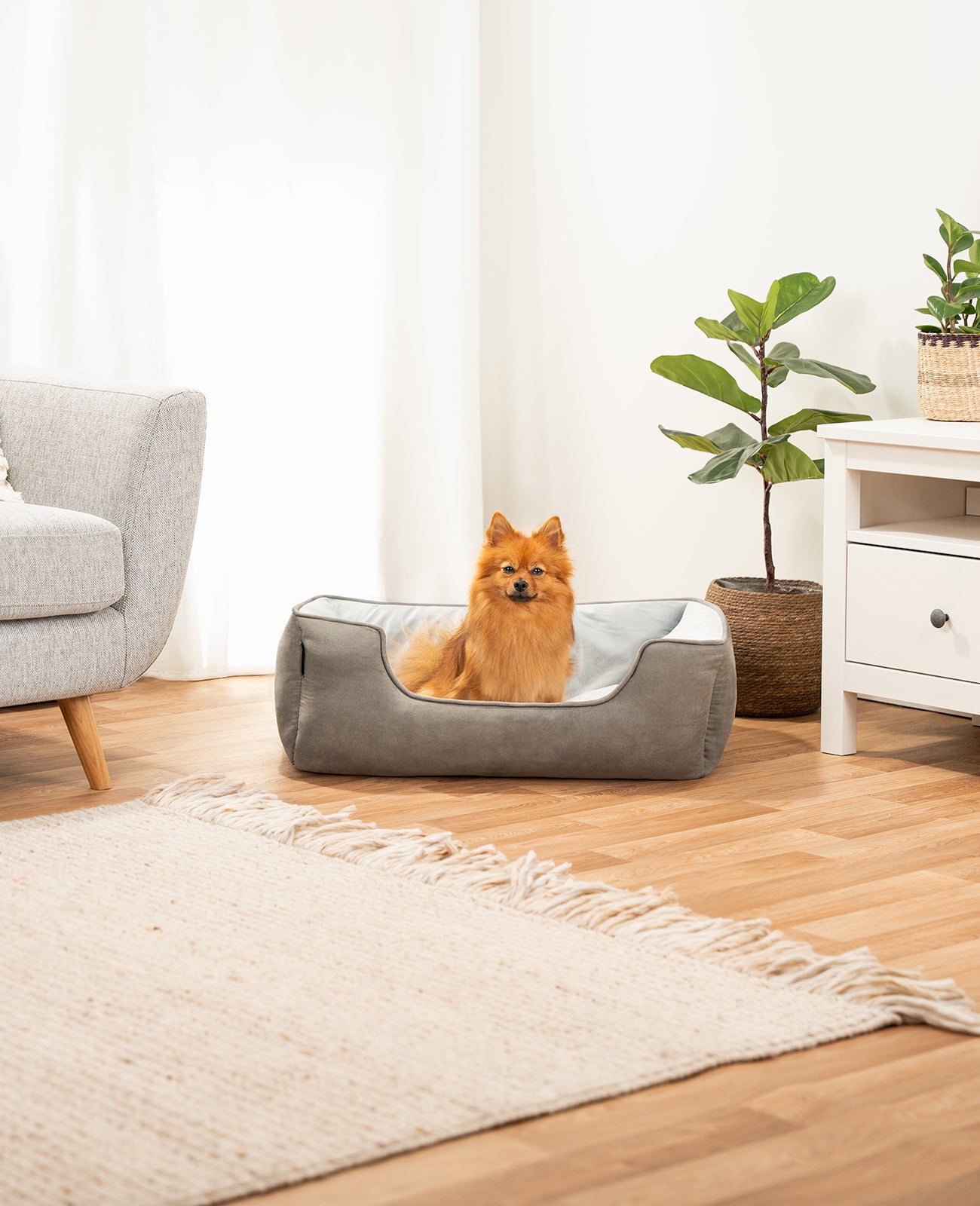 Cama para perros 2 en 1 con aspecto de ante
