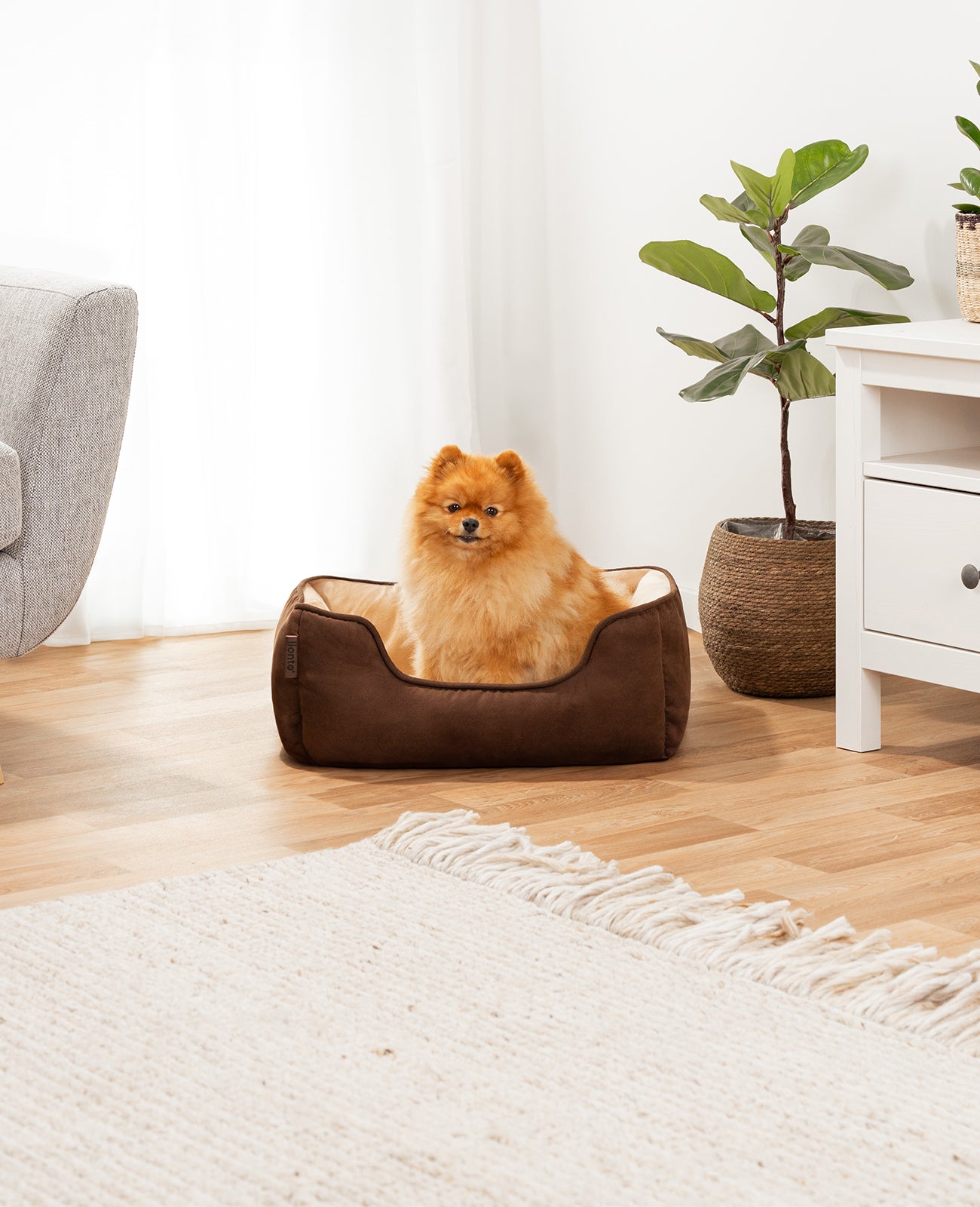 Cama para perros 2 en 1 con aspecto de ante