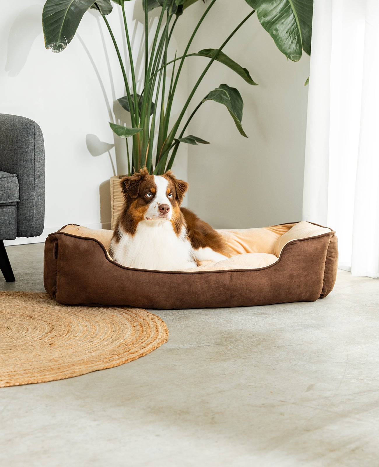 Cama para perros 2 en 1 con aspecto de ante