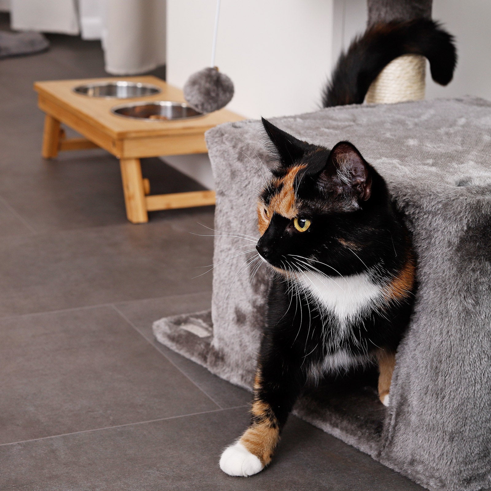 Comedero de bambú para gatos