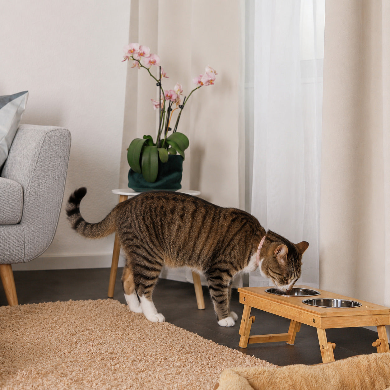 Comedero de bambú para gatos