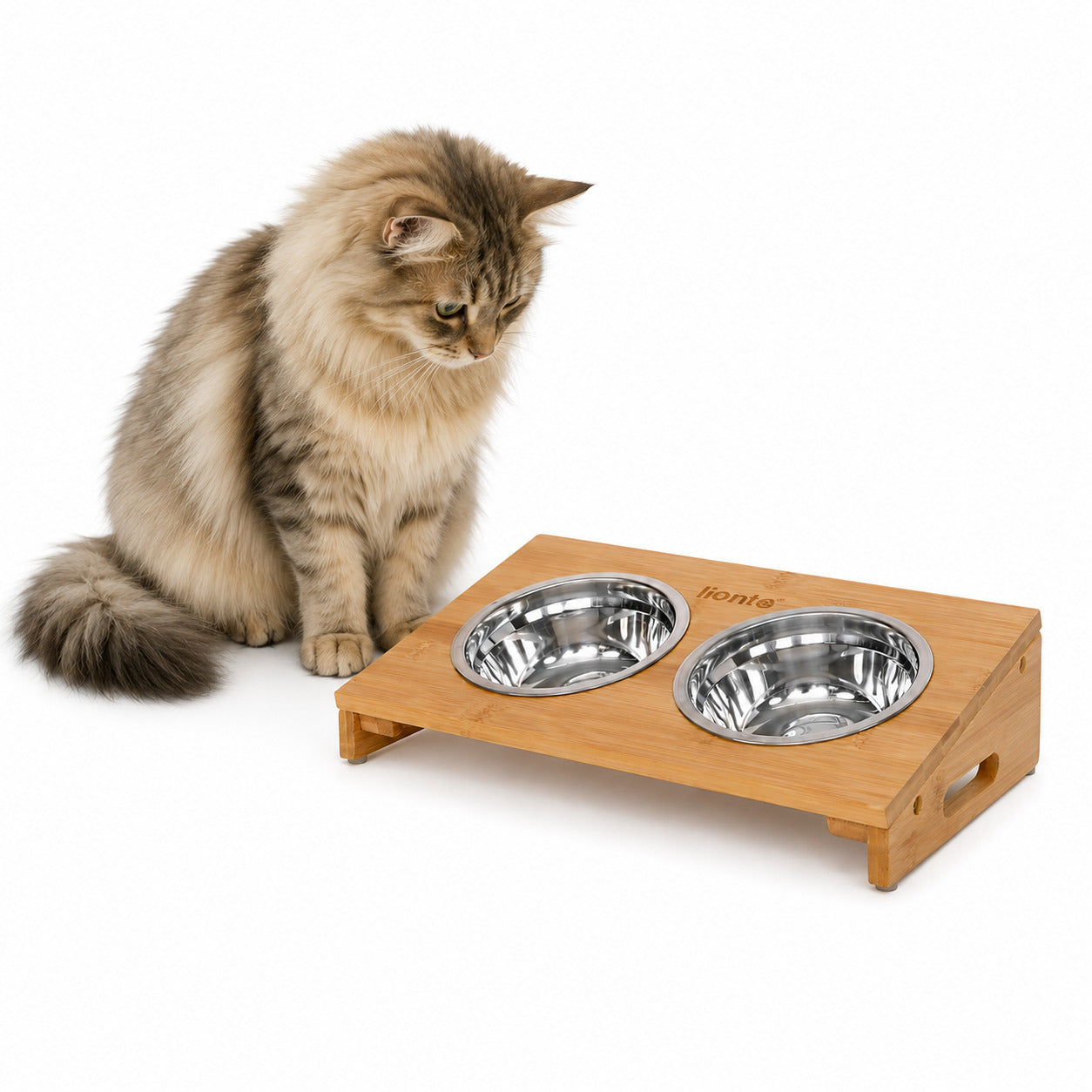 Cuenco elevado para gatos con estructura de bambú