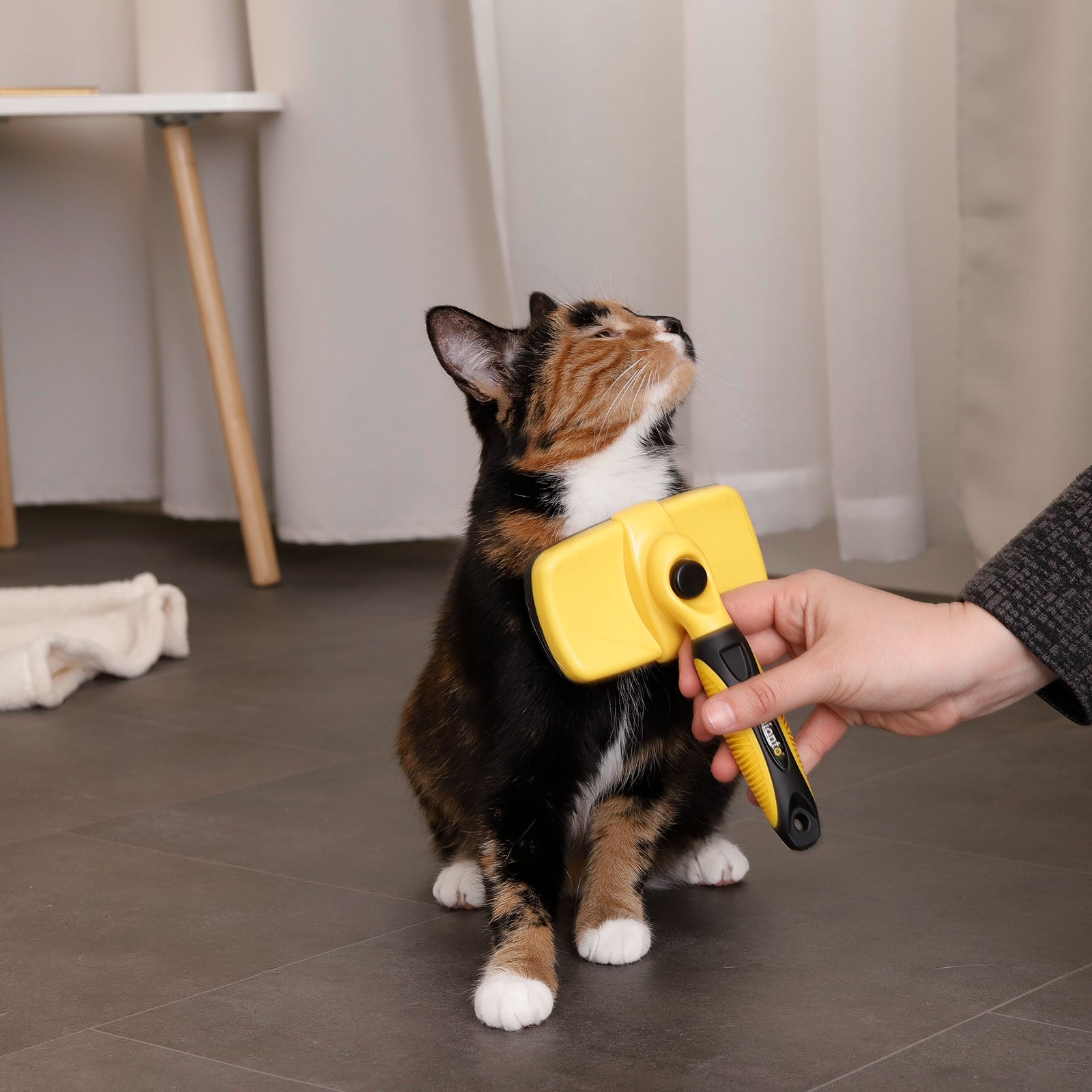 Cepillos para gatos para el aseo