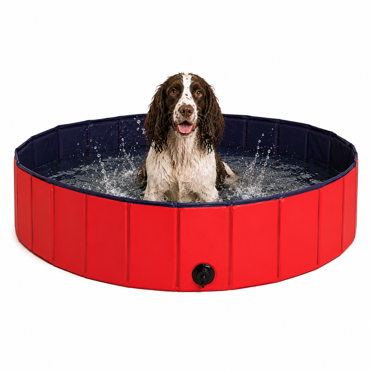 Piscina para perros plegable